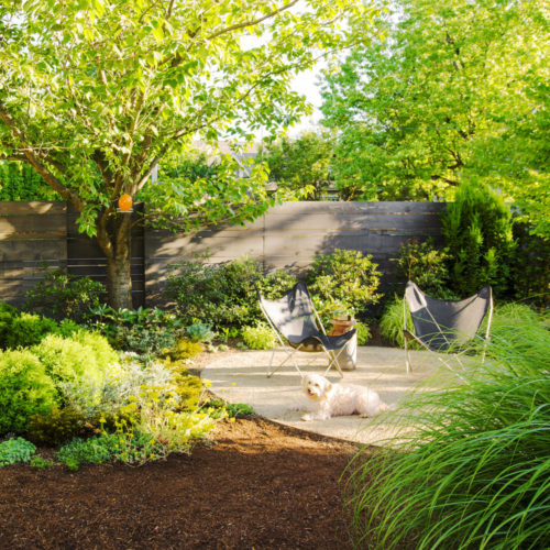Landscaping Design and Installation