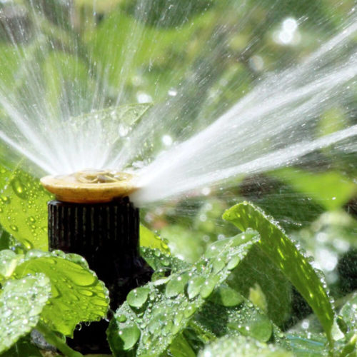 Irrigation System Monitoring